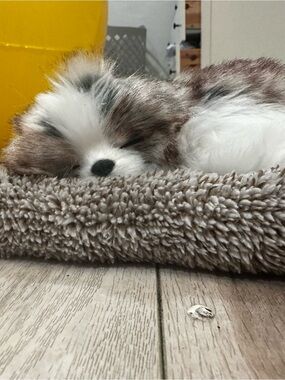 Plush Sleeping Puppy Decorative Throw Pillow - Brown & White